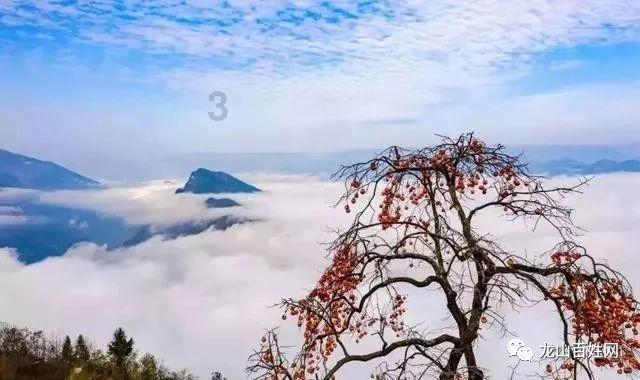 新春走基层|看村晚、赶年集、送对联 滨城区秦皇台乡系列文化活动点燃乡村“年味”