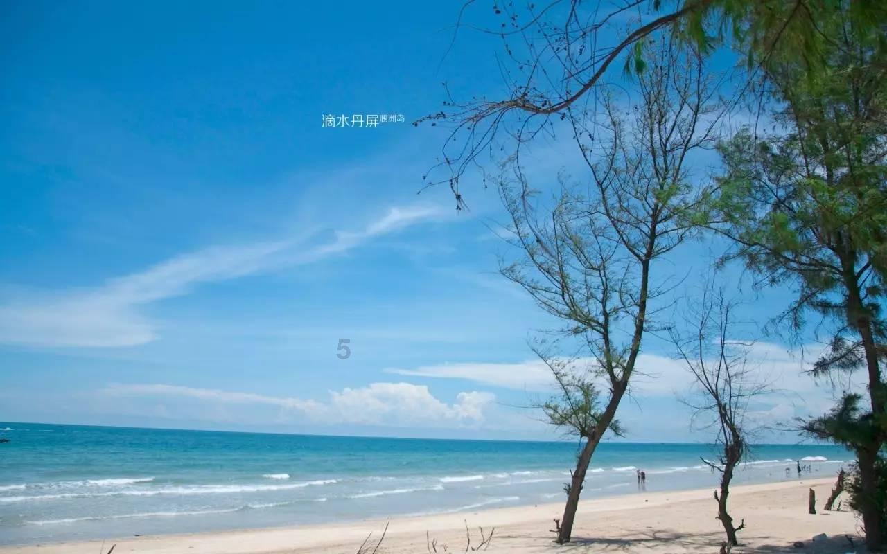 拯救枯树