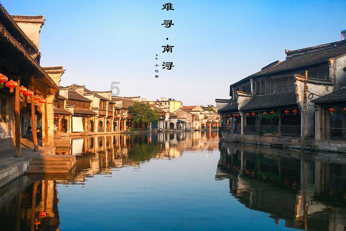 动物帮帮忙保卫家园